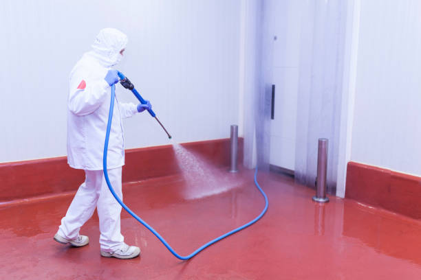 Best Concrete Surface Cleaning in Hampton, SC